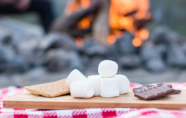 image of marshmallow, chocolate and biscuit